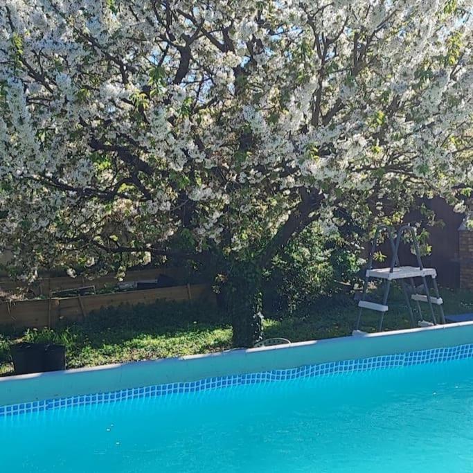 Havre De Paix Villa Corbeil-Essonnes Eksteriør billede